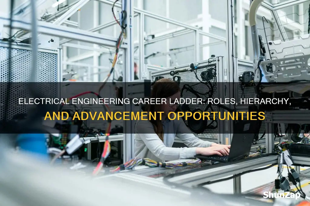 what are the career positions hierarchy a electrical engineer