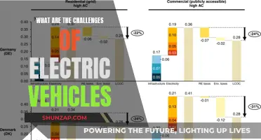 Overcoming Barriers: Navigating the Challenges of Electric Vehicles