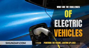 The Future of Electric Vehicles: Challenges and Opportunities