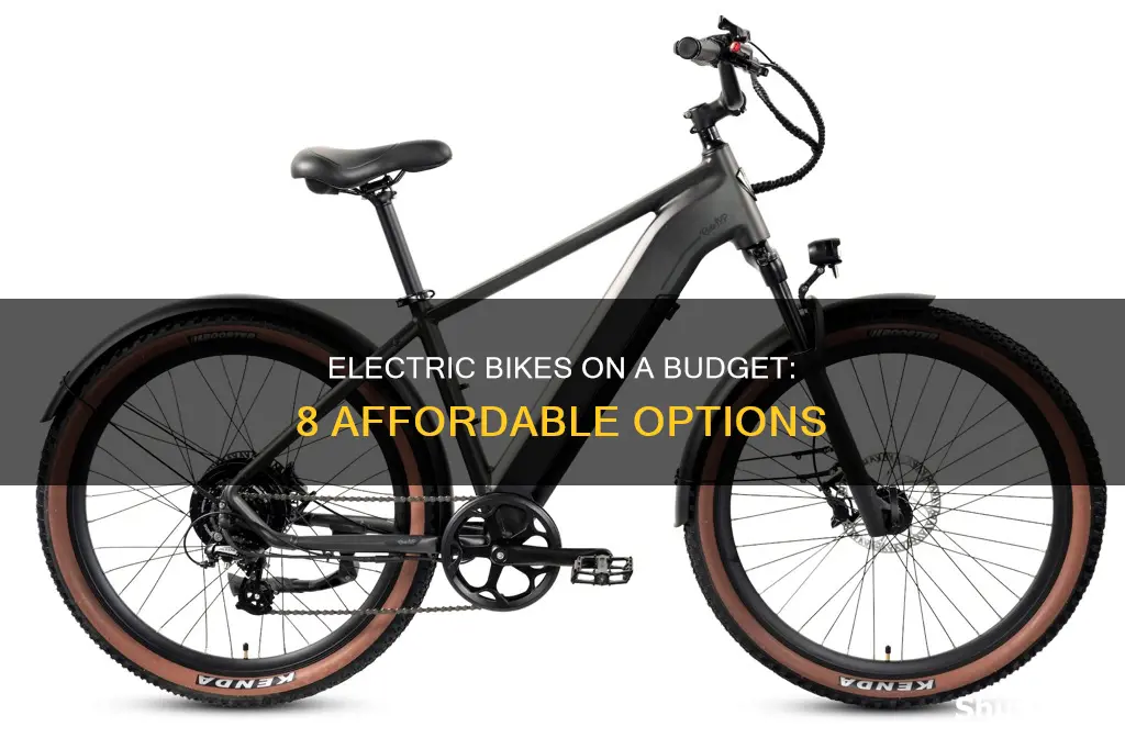 what are the cheapest electric bikes