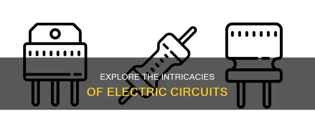 what are the components of electric circuit