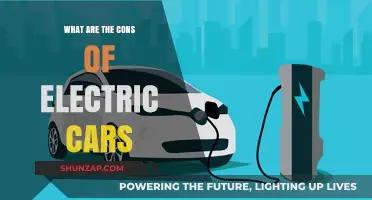 Electric Cars: Uncovering the Hidden Downsides and Practical Challenges