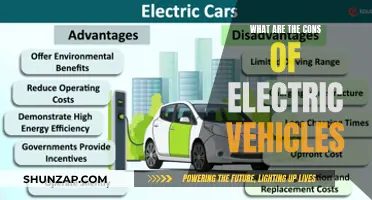 Electric Vehicles: The Dark Side of Green Transportation