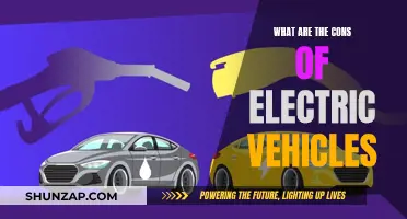 Electric Vehicles: Downsides and Drawbacks