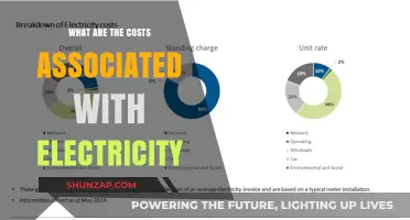 Understanding the True Cost of Electricity