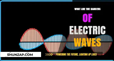 Electric Waves: Are They Harmful?