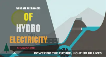 The Dark Side of Hydroelectric Power
