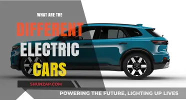 Exploring the Diverse World of Electric Vehicles: Models and Features