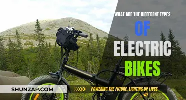 Electric Bikes: Exploring the Diverse Types and Their Benefits