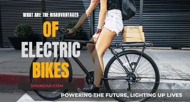 Electric Bike Drawbacks: What You Need to Know