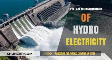 Hydro Electricity: More Downsides Than Upsides?