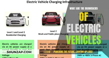 Electric Vehicles: Uncovering the Hidden Drawbacks