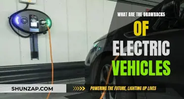 Electric Vehicles: Drawbacks and Future Challenges