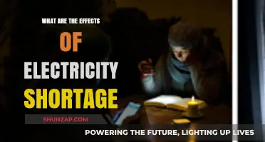 Blackouts: Impacting Daily Life and Beyond