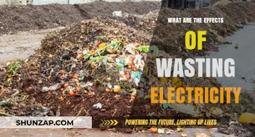The Dark Side of Wasting Electricity