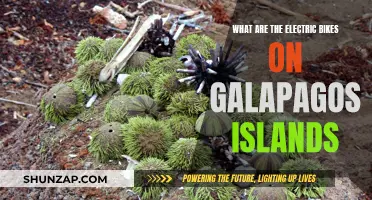 Electric Bikes on Galapagos Islands: Exploring Nature's Paradise