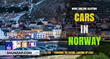 Norway's Electric Car Revolution: Top Models Dominating the Roads