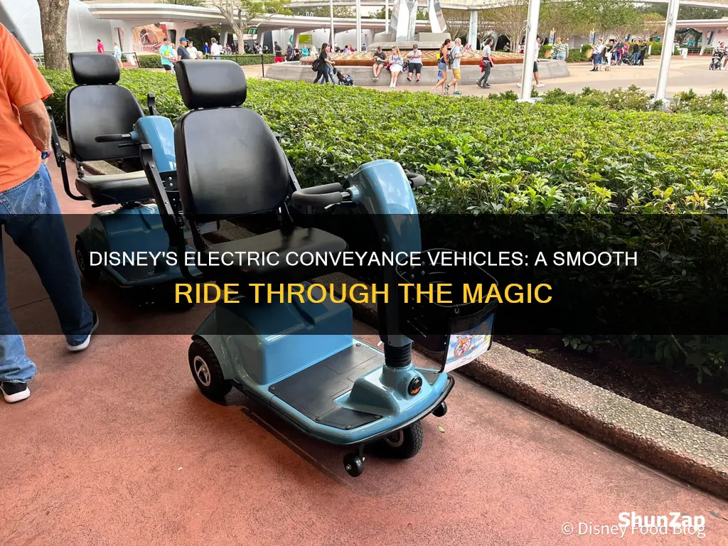 what are the electric conveyance vehicles like at disney world