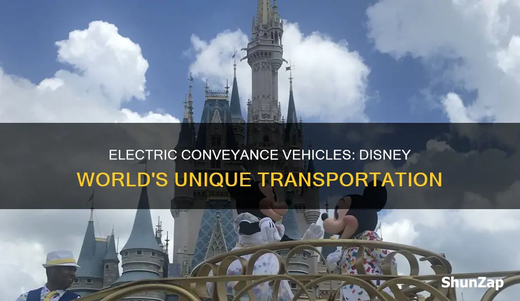 what are the electric conveyance vehicles like at disney world