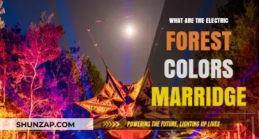 Electric Forest Color Palettes for Your Wedding