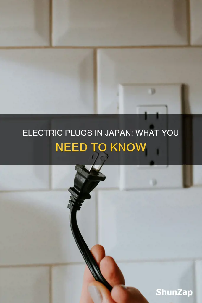what are the electric plugs in japan