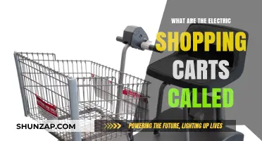 Electric Shopping Carts: What Are They Called?