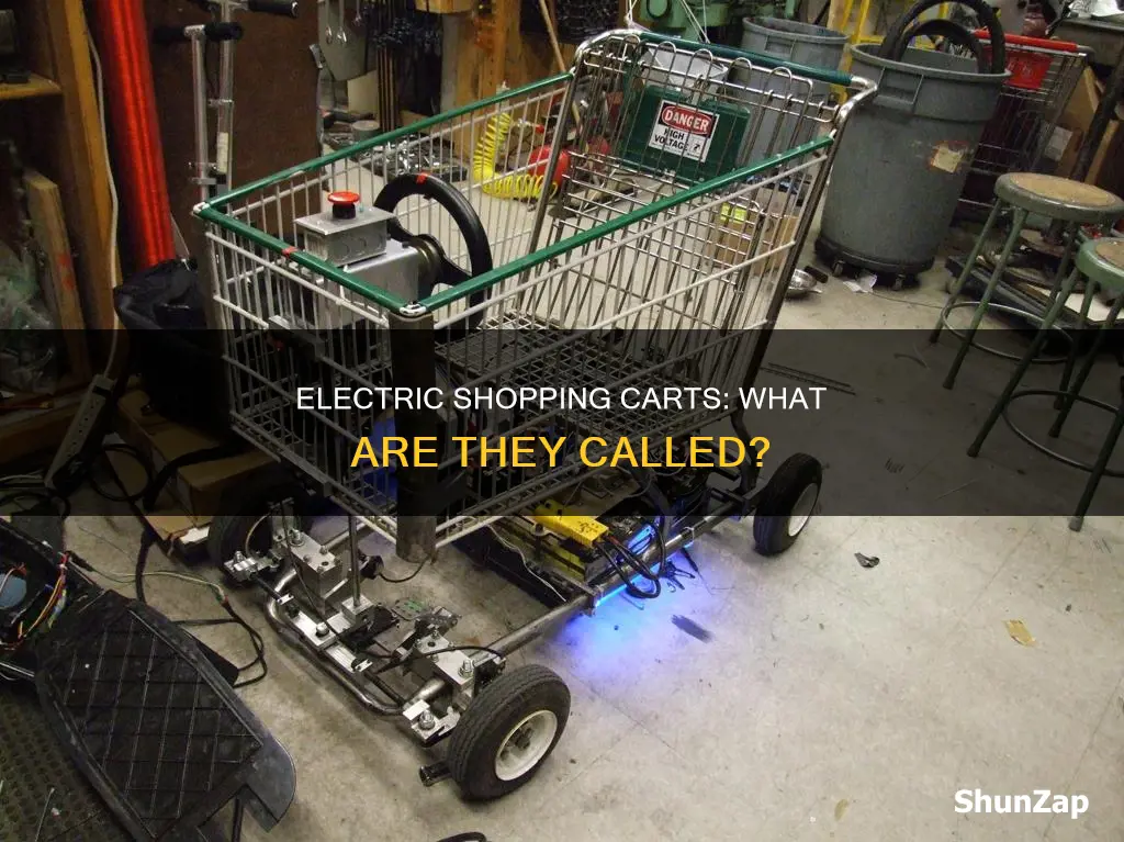 what are the electric shopping carts called
