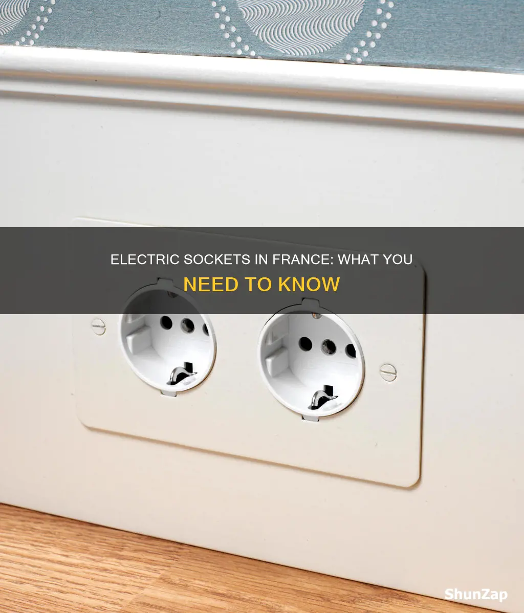 what are the electric sockets in france