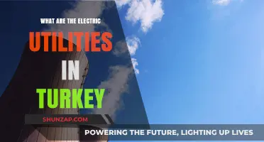 Turkey's Power Grid: Unlocking Electric Utilities