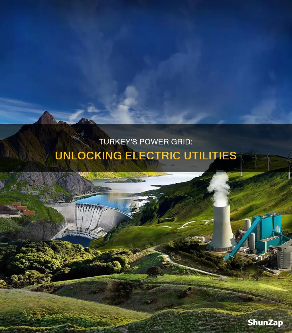 what are the electric utilities in turkey