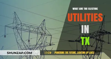 Electric Utilities in Texas: Who Powers the Lone Star State?