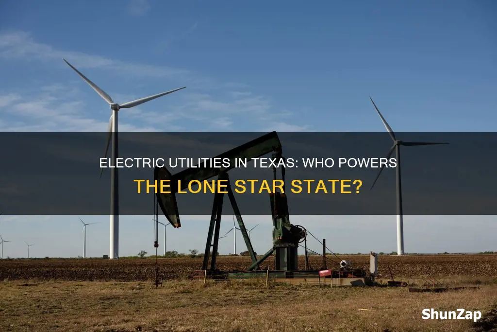 what are the electric utilities in tx