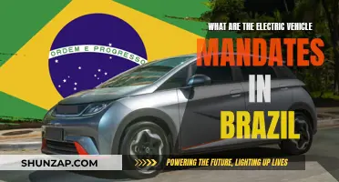 Brazil's Electric Vehicle Revolution: Mandates and Future