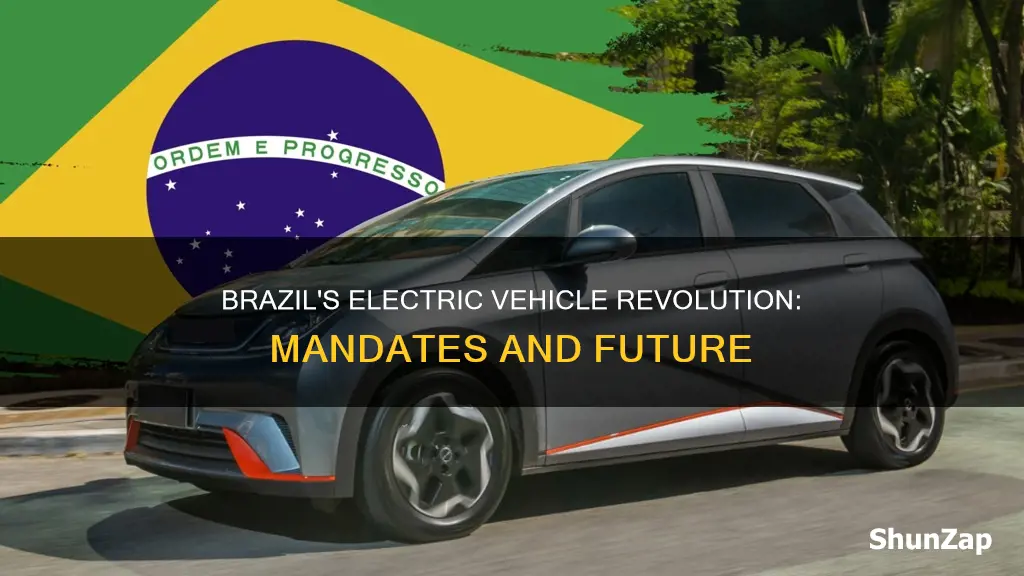 what are the electric vehicle mandates in brazil