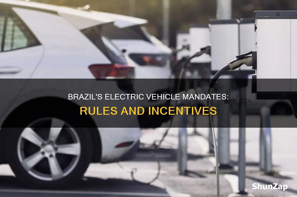 what are the electric vehicle mandates in brazil