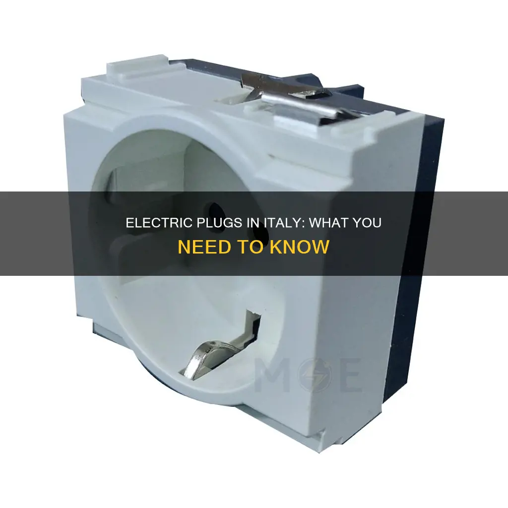 what are the electrical plugs in italy