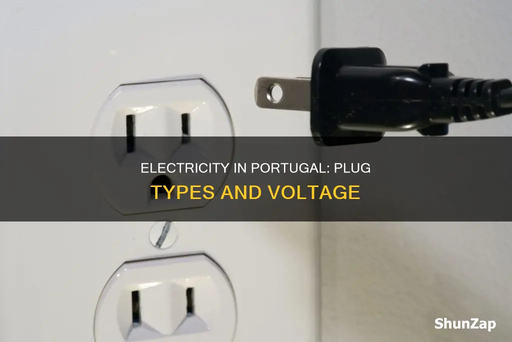 what are the electrical plugs in portugal