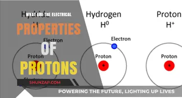 Protons: Electric Charges and Their Unique Properties