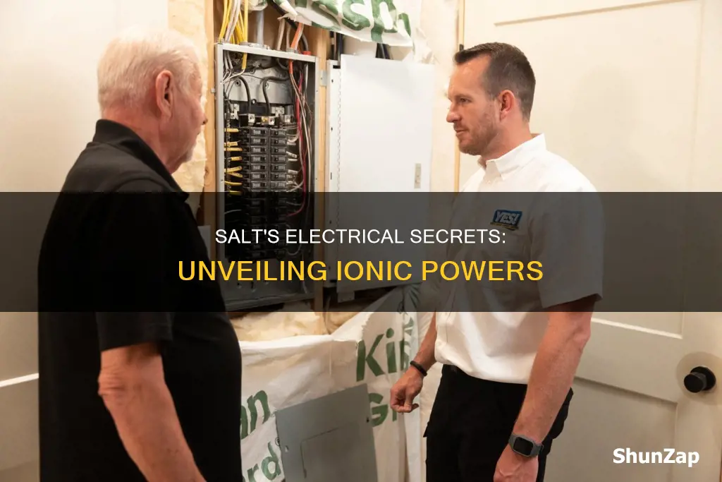 what are the electrical properties of salt