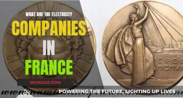 Electricity Companies in France: A Comprehensive Overview