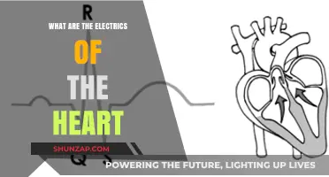 Heart's Electrical System: A Complex Web of Activity
