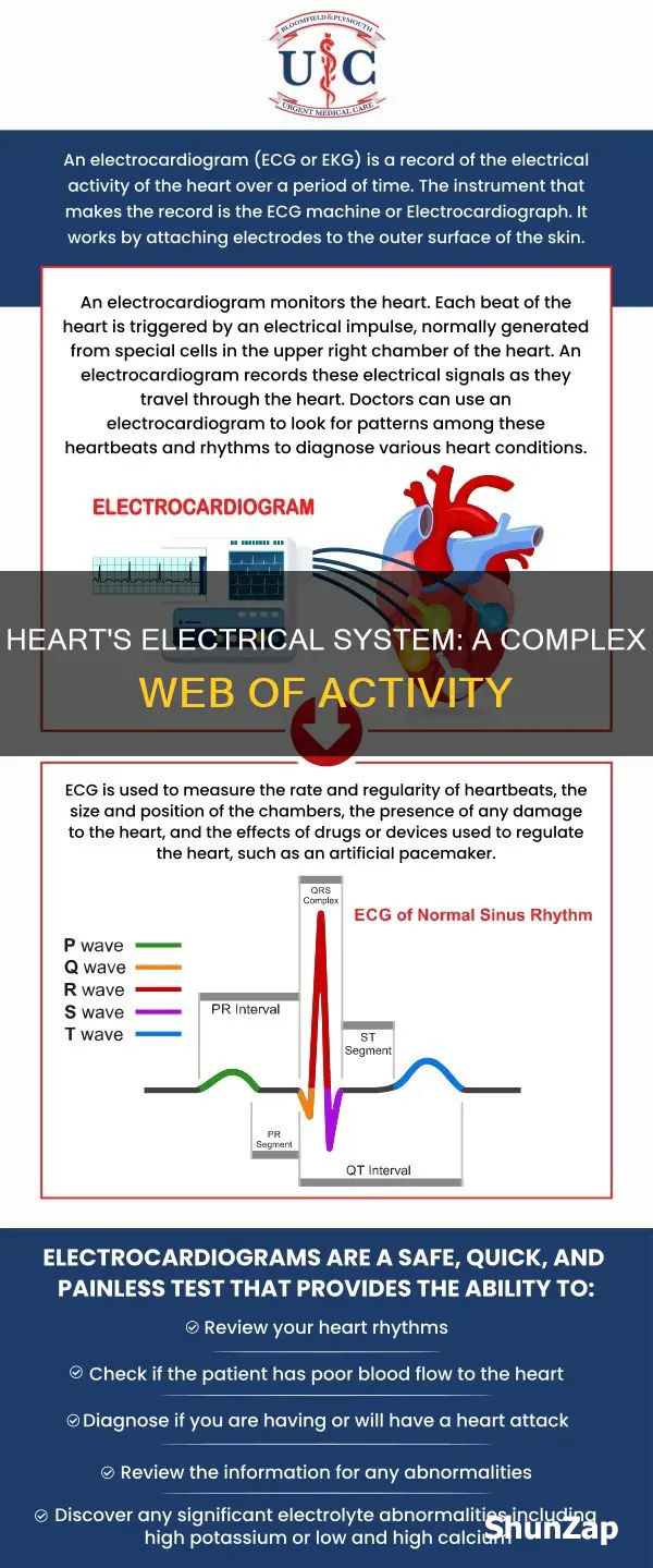 what are the electrics of the heart