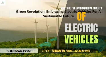 Green Revolution: Unlocking Nature's Power with Electric Vehicles