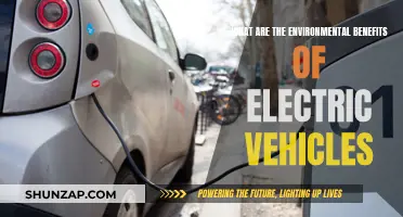 Electric Vehicles: Greener Future, Healthier Planet