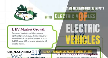 Green Revolution: Unveiling EV's Environmental Impact