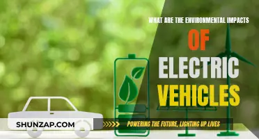Electric Vehicles: Environmental Impact and the Greener Future