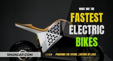 The Evolution of Speed: Electric Bikes' Fastest Models