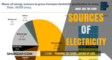Electricity's Four Primary Sources