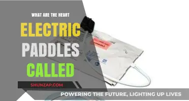 Electric Shock Therapy: Heart-Starting Defibrillator Paddles