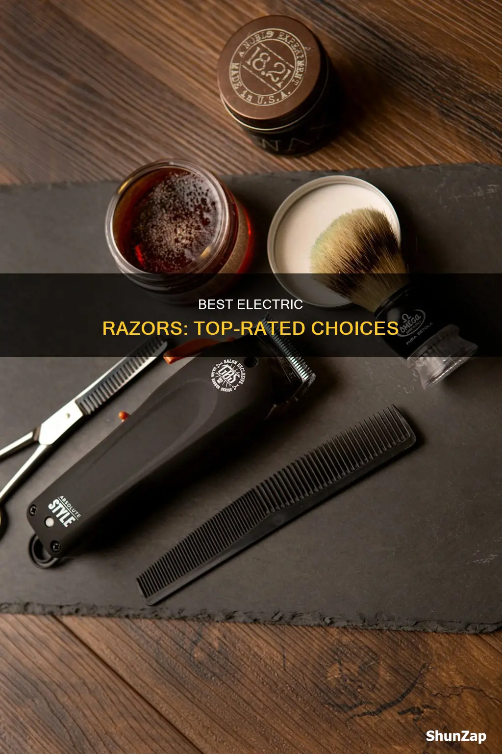 what are the highest rated electric razors